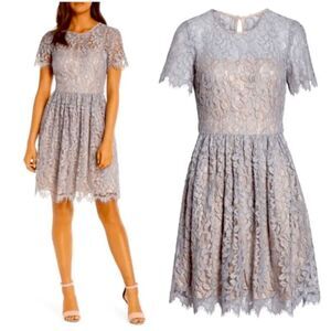 Eliza J Romantic Lace Fit and Flare Short Sleeve Dress Size 4 Coquette P…